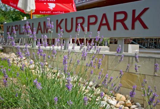 Kaplan Am Kurpark Hotel บัด ทัทซ์มันน์สดอร์ฟ ภายนอก รูปภาพ